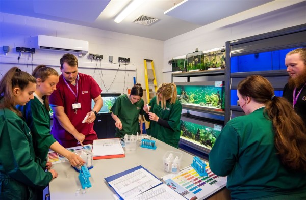 Easton College students working in the newly refurbished aquatics room.