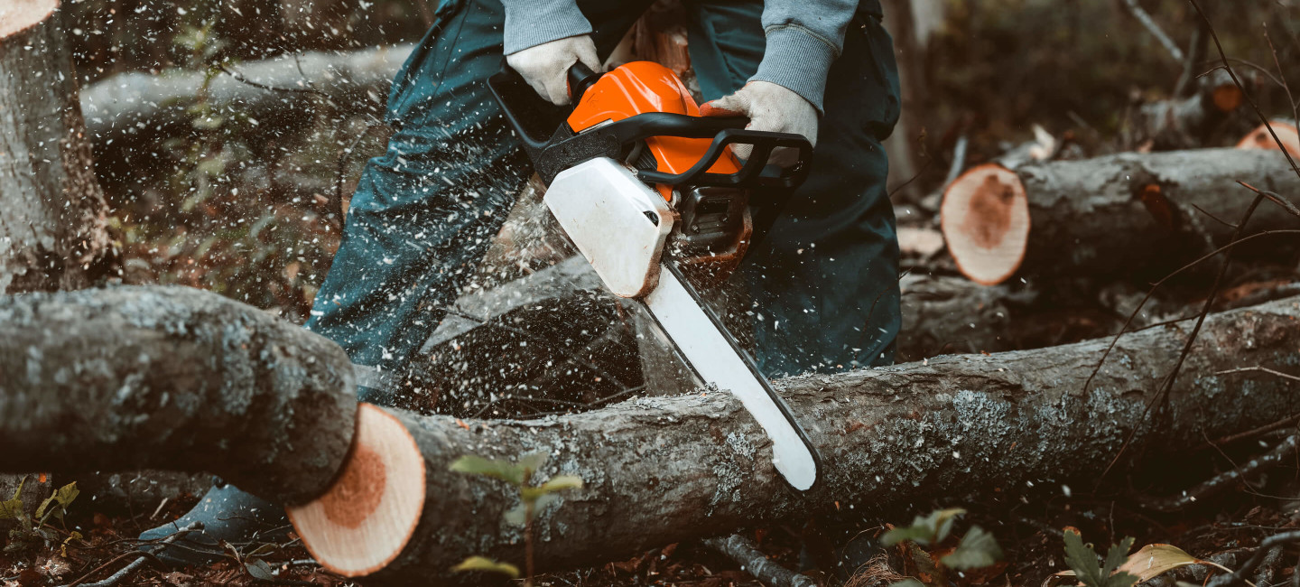 Man with chainsaw cutting tree logs