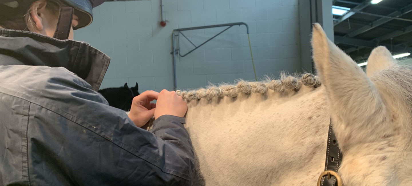 Equine Management