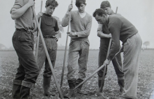 A Norfolk School of Agriculture lecturer and students on the Easton estate 1950s