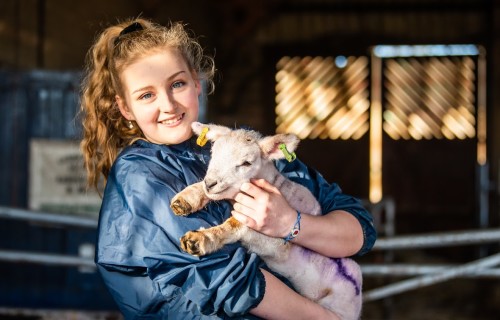An Easton College student with one of this years lambs PIC CREDIT DAVID KIRKHAM