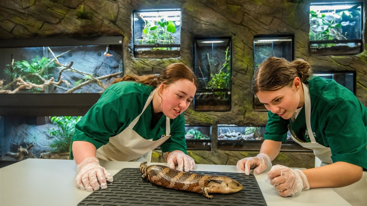 Easton College Animal Management Centre upgrade