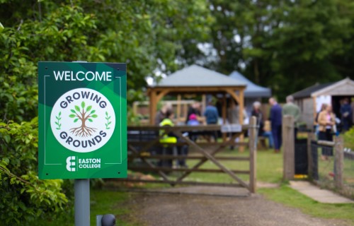 Growing Grounds 4