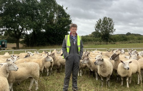 Reuben Crowter pictured on the farm at Easton College resized